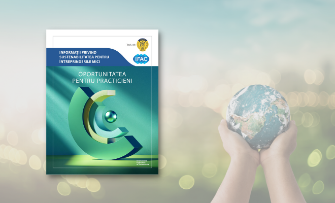 Documentul „Informații privind sustenabilitatea pentru întreprinderile mici”, elaborat de IFAC, disponibil în limba română