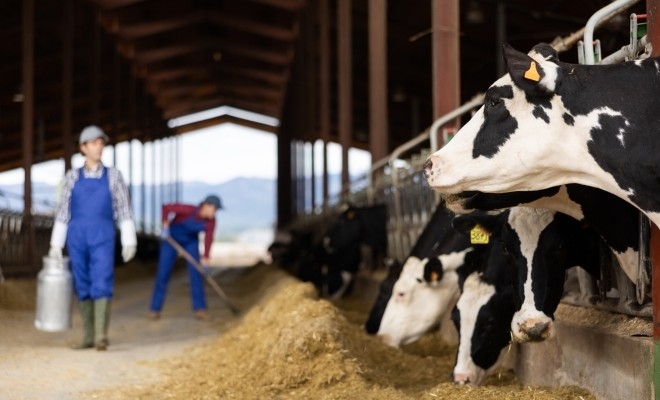 APIA primește deconturi/documente justificative aferente trimestrului III 2025 pentru Intervenția DR 06 – „Bunăstarea animalelor” pachetul a) și pachetul b)